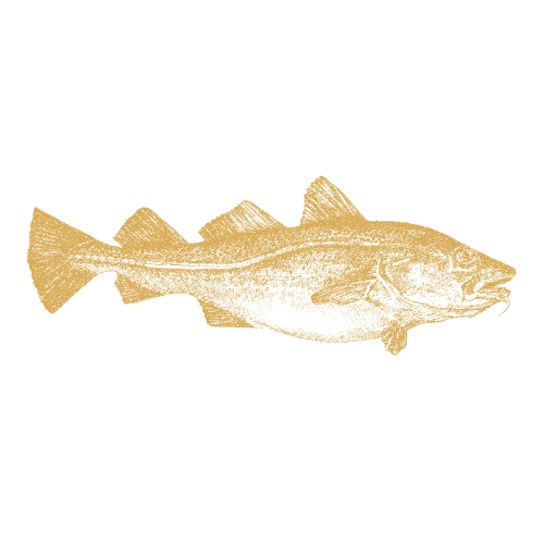 Sesongens fisk