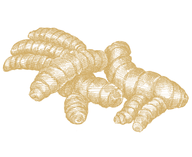 Gurkemeja