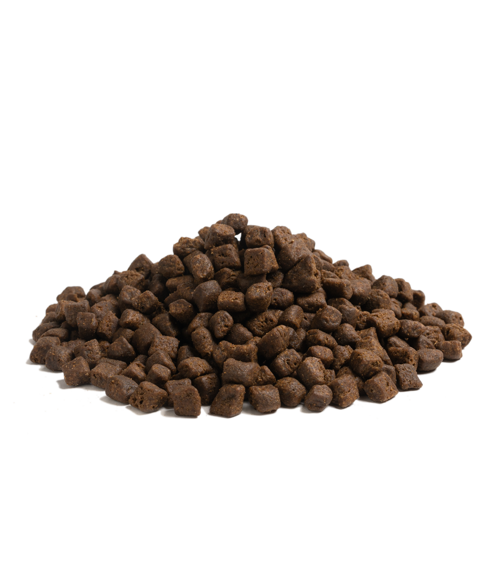 THE BEGINNING SMALL BREED, 10KG