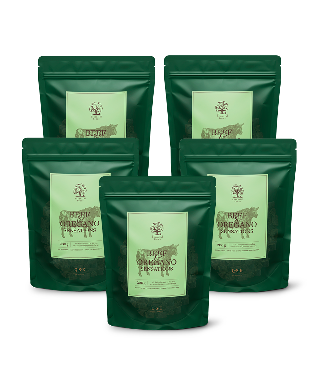 5 x BEEF & OREGANO SENSATIONS