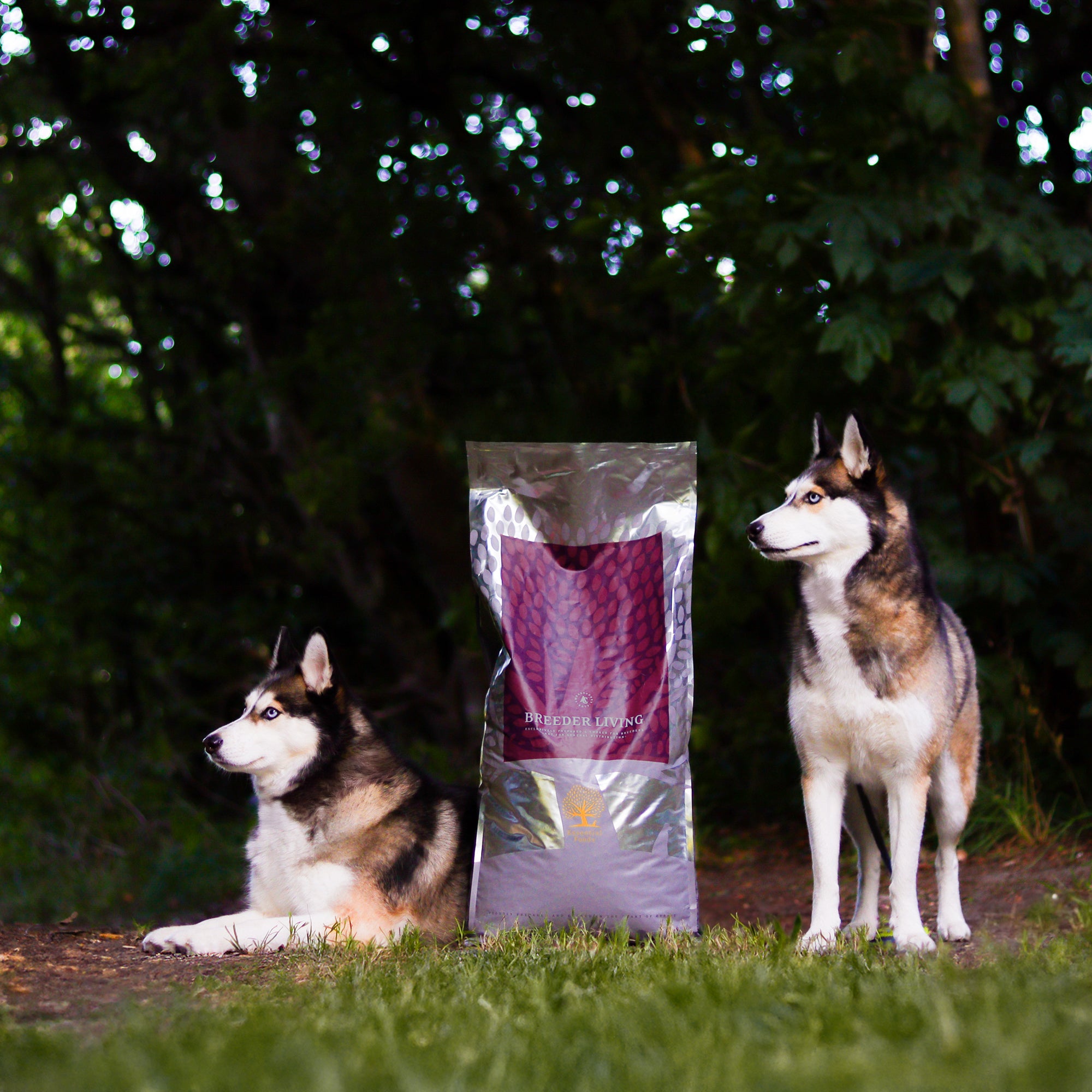 BREEDER LIVING, 12KG